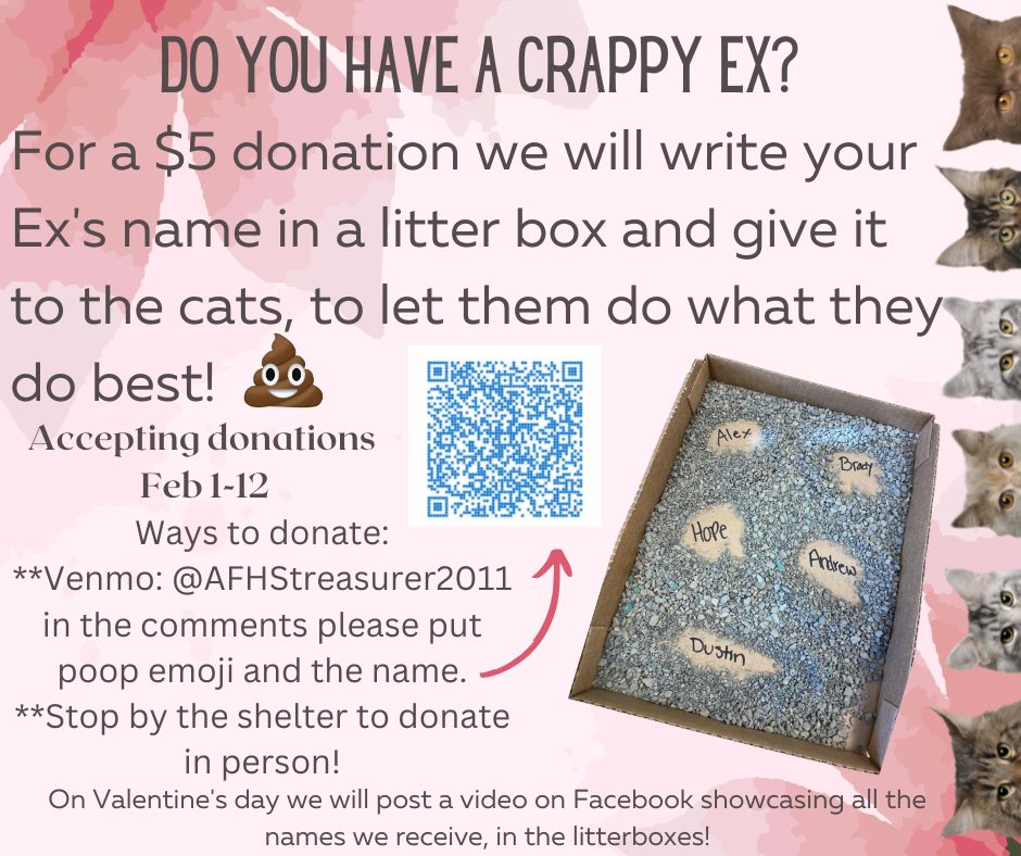 litter box ex